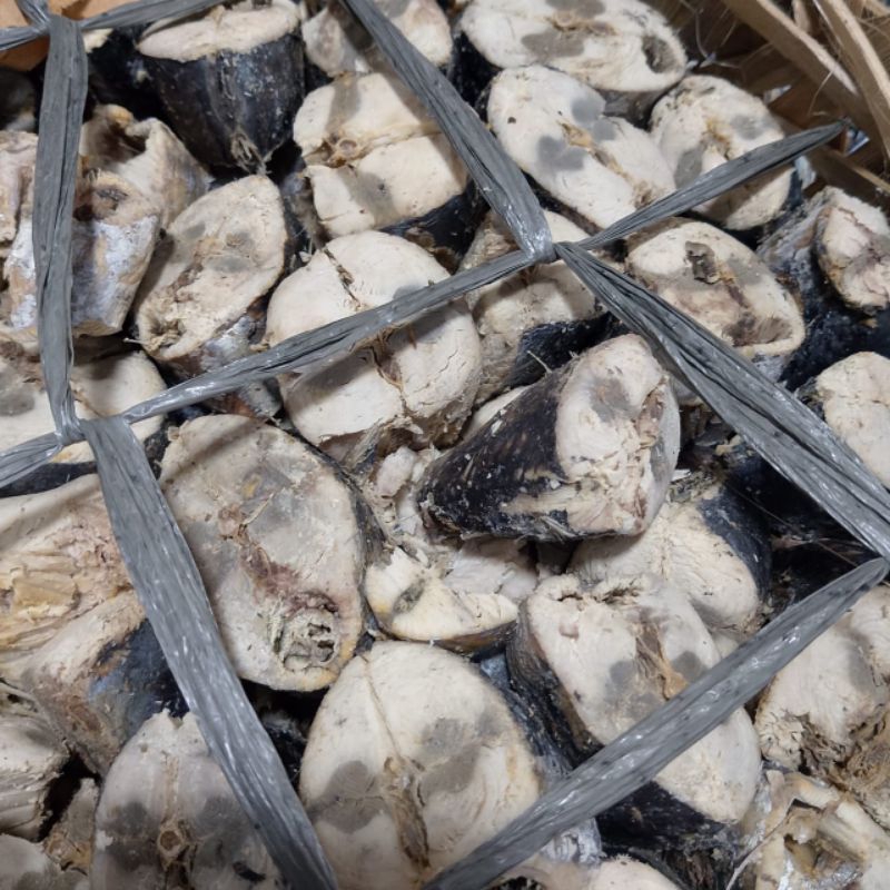

IKAN REBUS TIMPI POTONG 500G