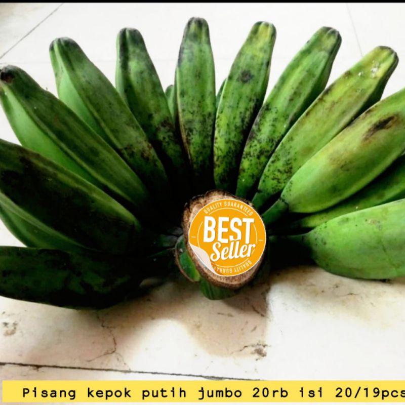 

pisang kepok buat burung
