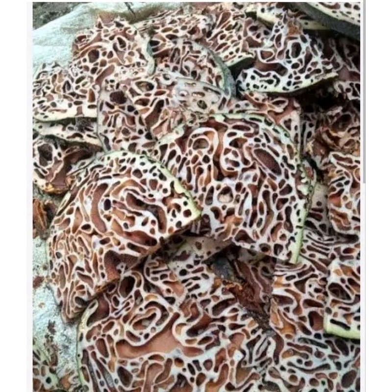 

SARANG SEMUT PAPUA HERBAL FRESH, GRADE A+ 500GR (berkualitas) bisa cod