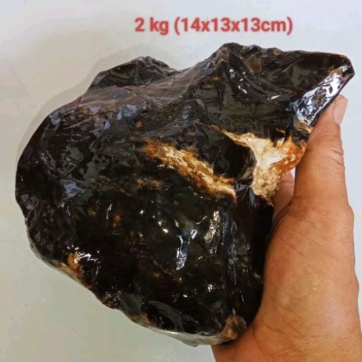 batu fosil galih kelor kristal (498)