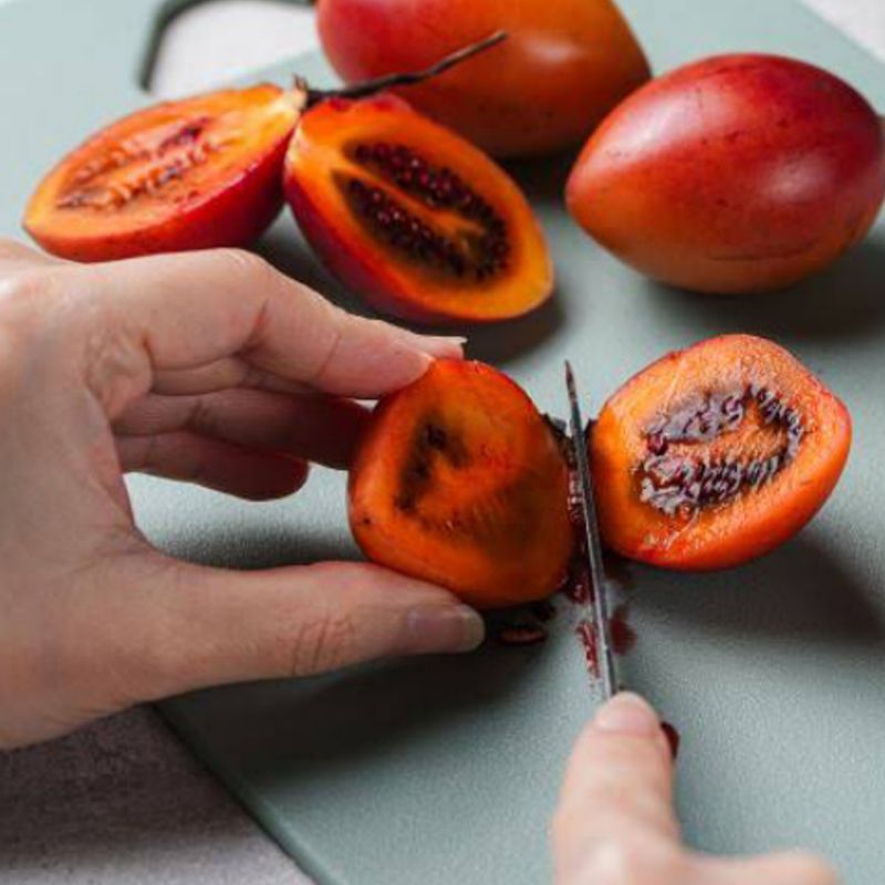 

Buah Terong Belanda 1000 Gram | Buah Berkhasiat Tinggi Vitamin