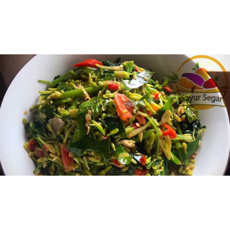

Sayur Segar Siap Saji Kangkung Bunga Pepaya Tumis