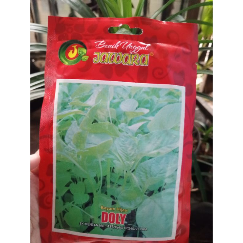 Benih Bayam Hijau DOLLY JAWARA