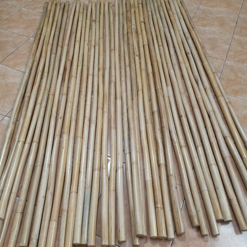 toyak pencak silat ( realpict ) toyak rotan