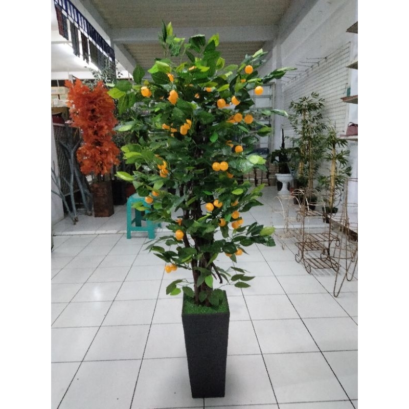 POHON HIAS SUDUT 150CM/ RUANG TAMU/ POHON DAUN JERUK PLASTIK ARTIFICIAL