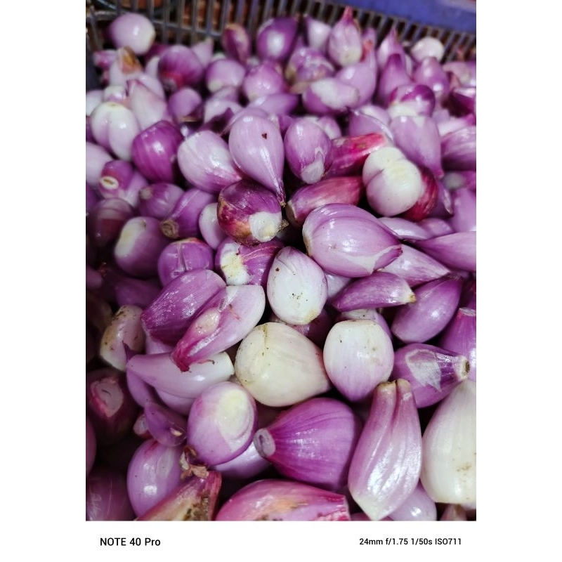 

BAWANG MERAH BREBES KUPAS 250 GRAM
