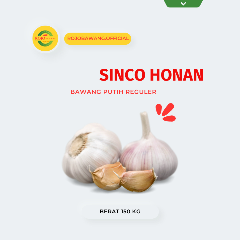 

BAWANG PUTIH SINCO HONAN 150 GRAM BERSIH