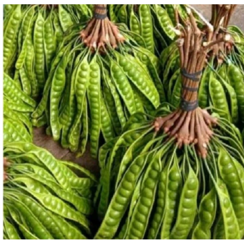 

pete tua fress per ikat=15 papan/ lonjor