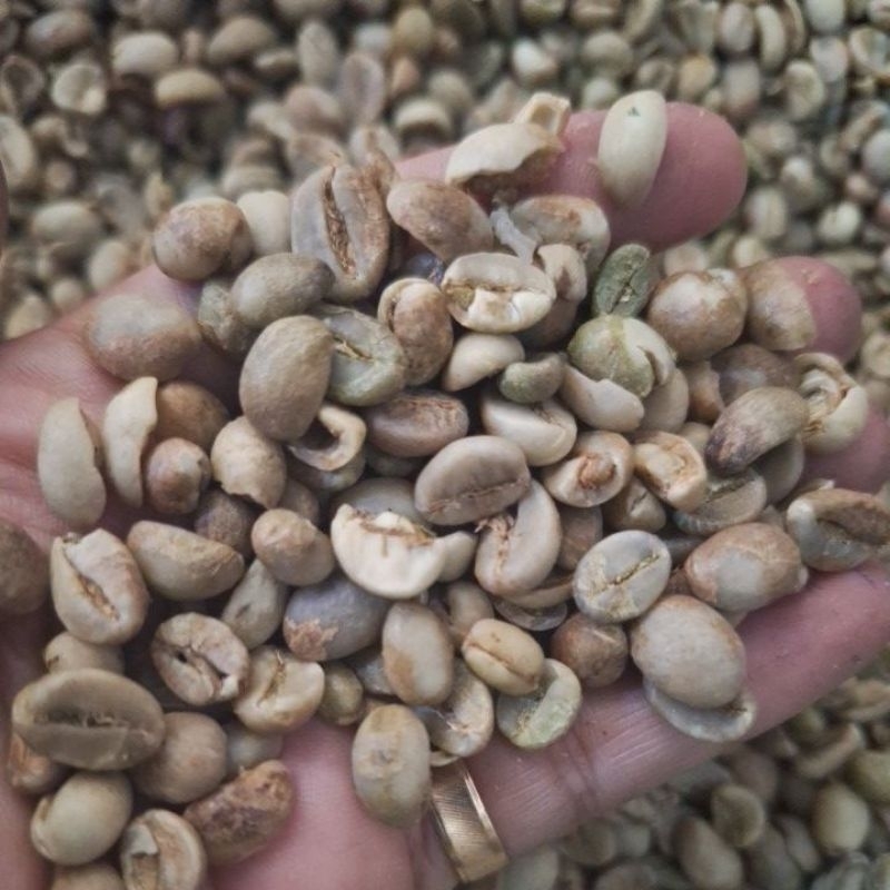 

kopi asalan