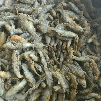 

wader goreng 500 g