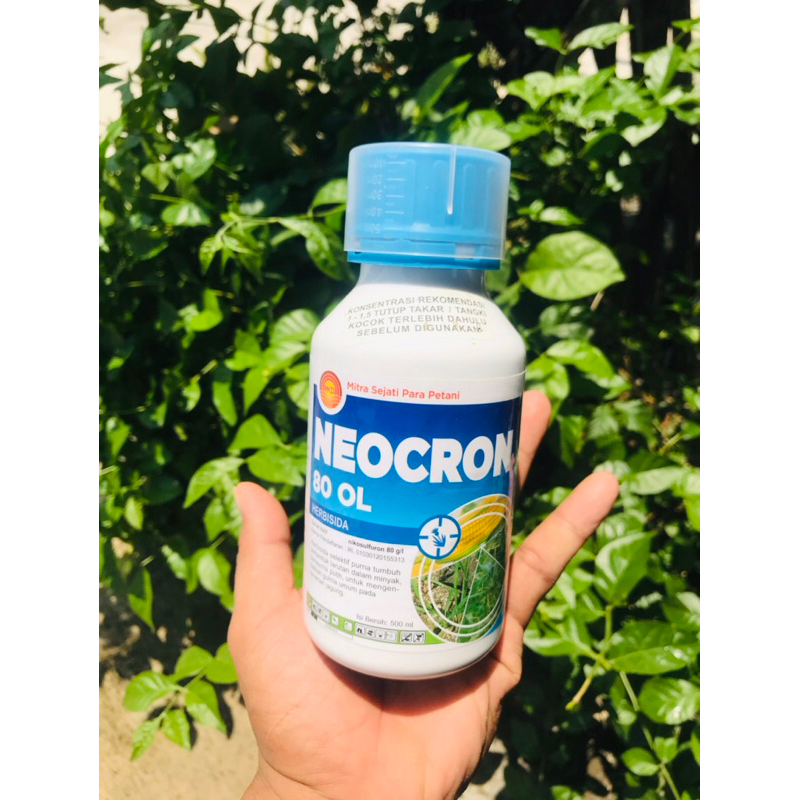 Neocron 500 ML 80 OL