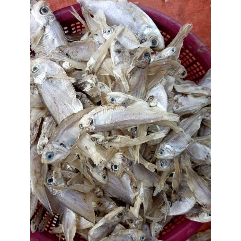 

ikan tawar