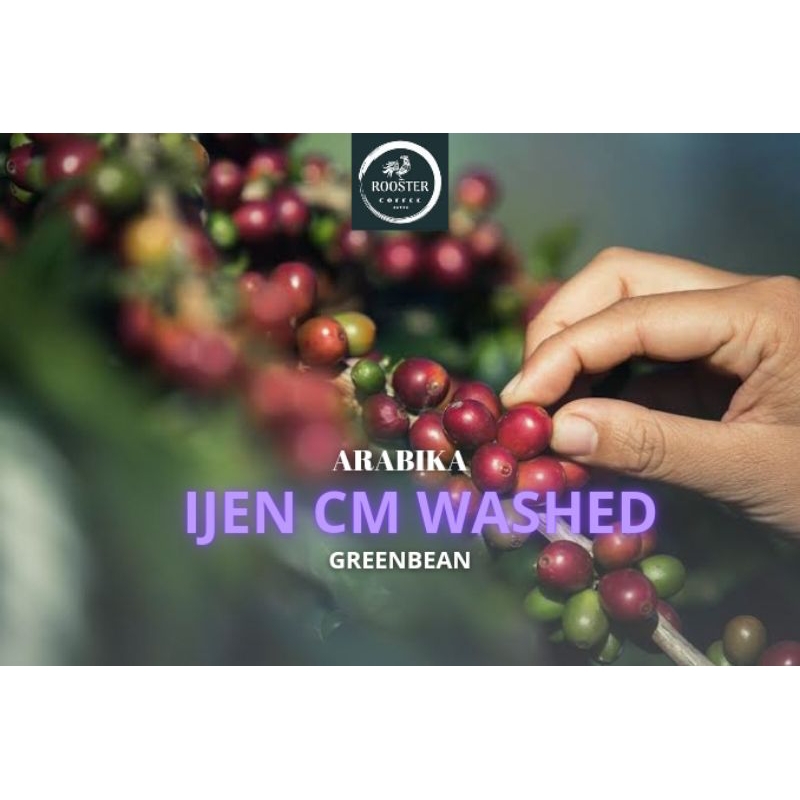 

GREEN BEAN IJEN CARBONIC MACERATION WASHED 5KG