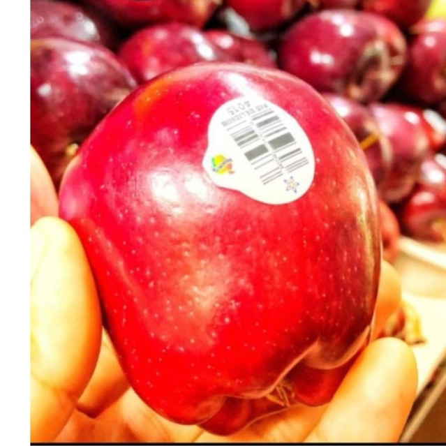 

Buah apel red usa premium quality / 500gr