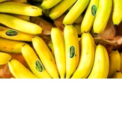 

buah pisang premium quality /kg
