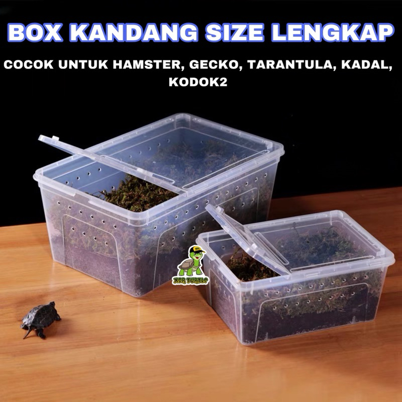REPTILE BOX KANDANG BOX REPTIL LEOPARD GECKO PACMAN HAMSTER ULAR KADAL TOKEK