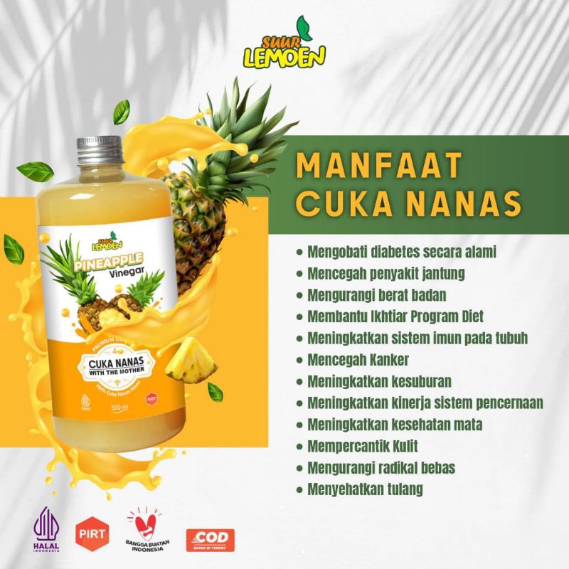 

Cuka Nanas Suur Lemoen – Minuman Fermentasi Segar dan Sehat