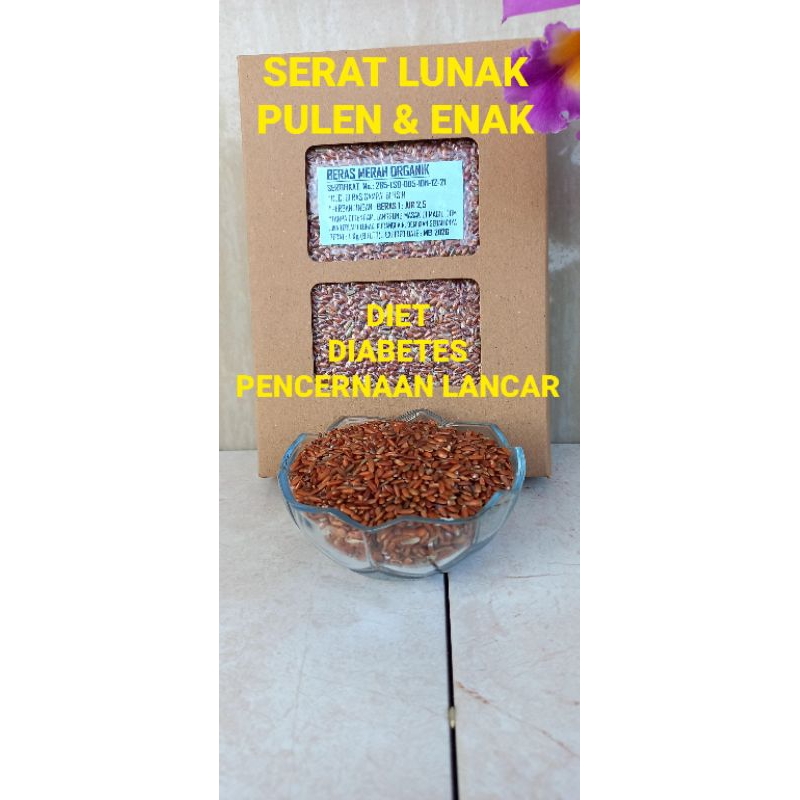 

BERAS MERAH ORGANIK UNTUK DIET, DIABETES, PENCERNAAN LANCAR
