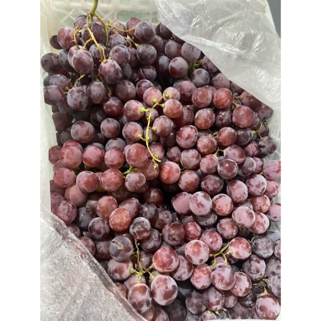 

BUAH anggur .RED.GLOBE.500gram.FRESH/PROMO!!