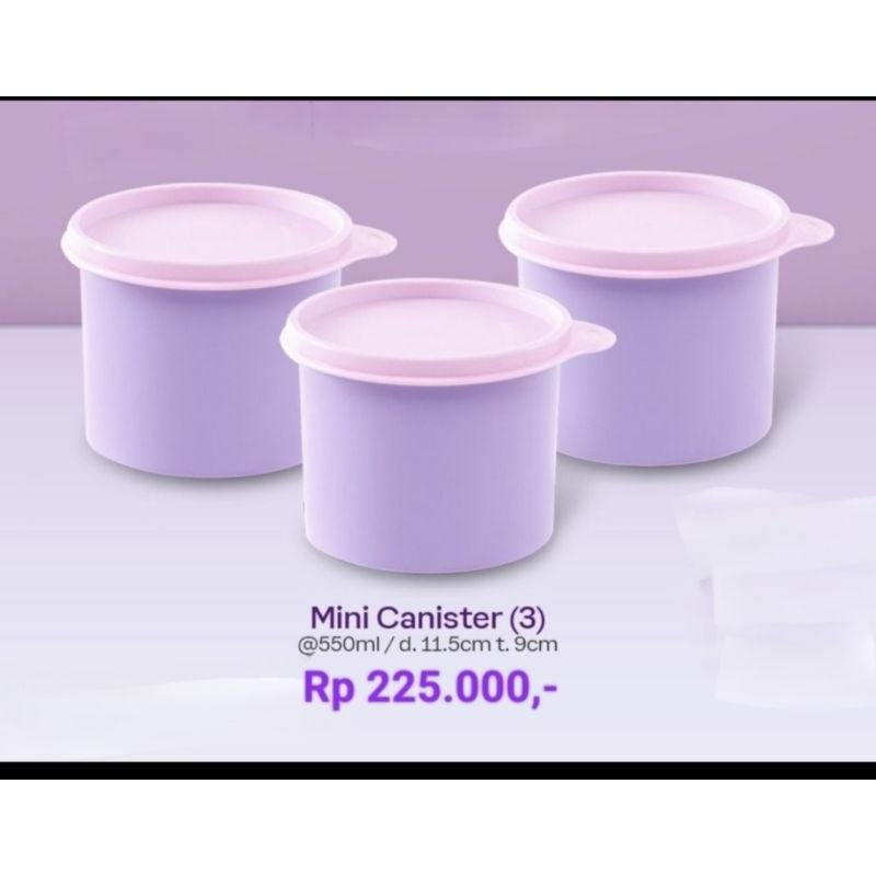 cutie canister 550 ml  tupperware