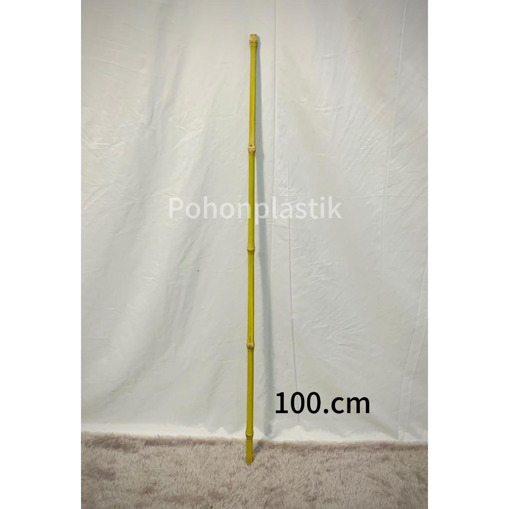 Batang Bambu Cendani Asli T 100cm ( 1 Meter ) - Bambu - Batang Bambu - Tongkat Bambu - Dekorasi Tama