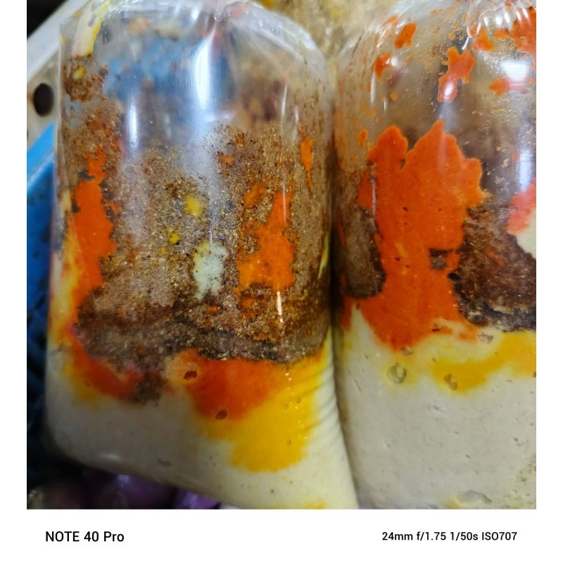 

BUMBU IKAN BAKAR 250GRAM