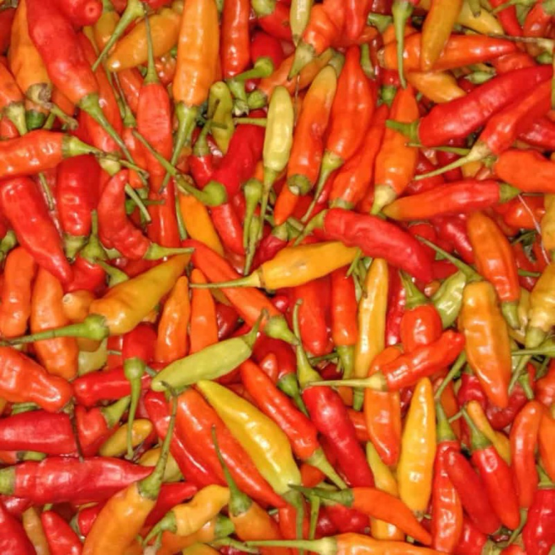 

Cabe Rawih Merah Fresh