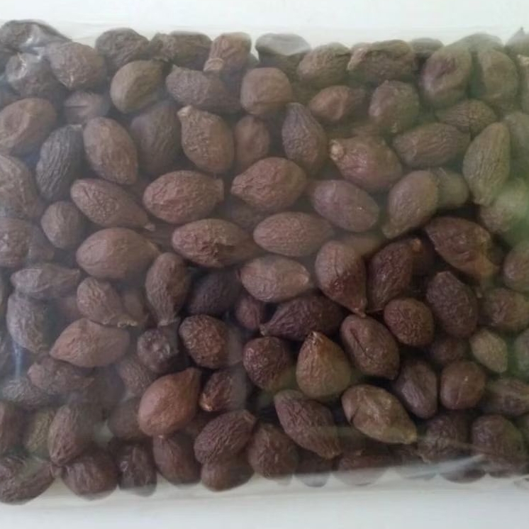 

Buah Tempayang 100 gram - Biji Tempayang / Biji Kembang Semangkuk