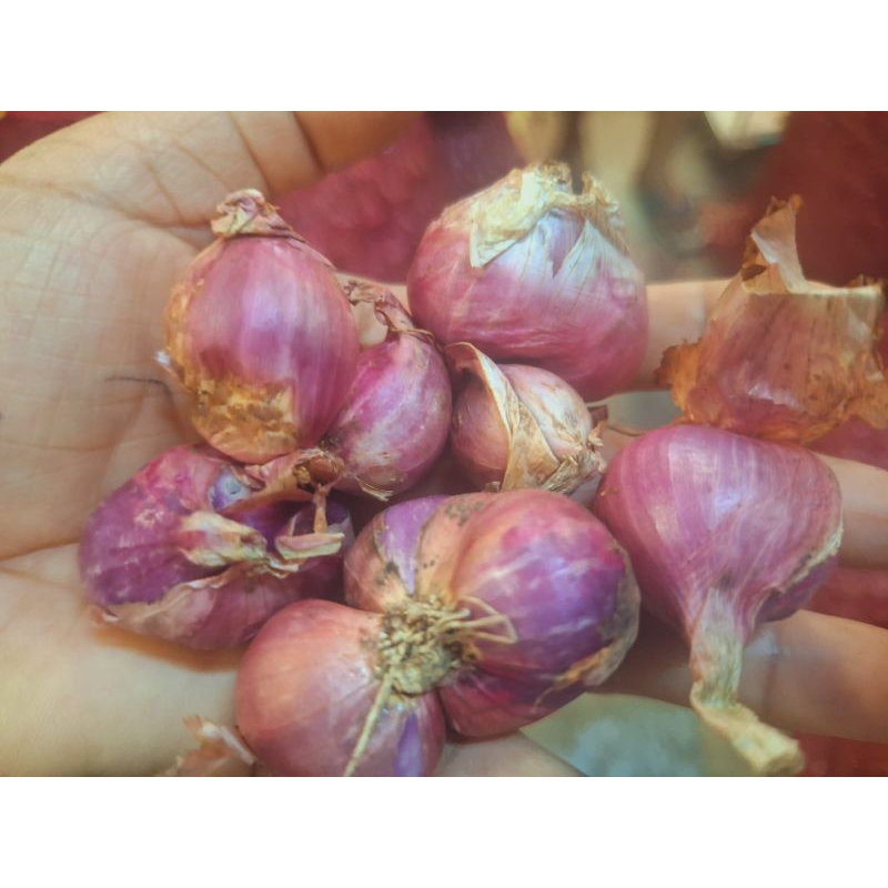 

Bawang merah Brebes 500 gram