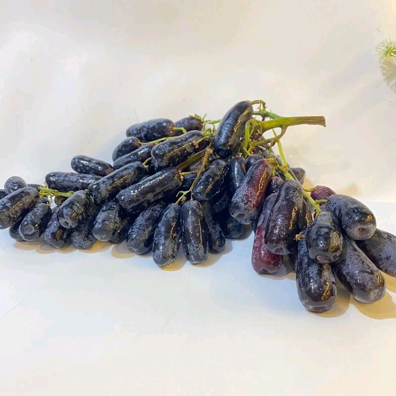 

Anggur Jari 1kg