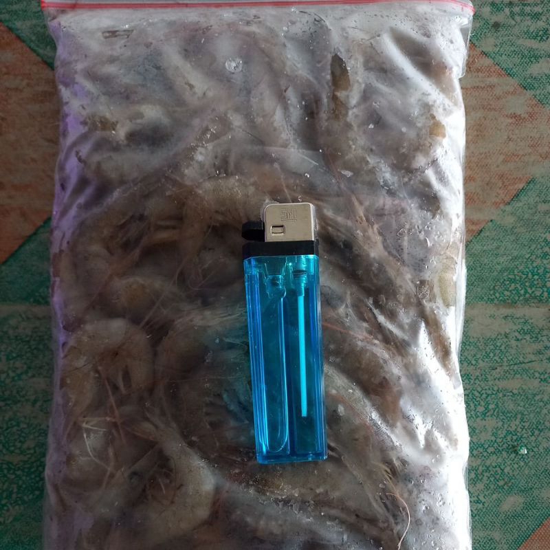 

udang api besar fresh frozen