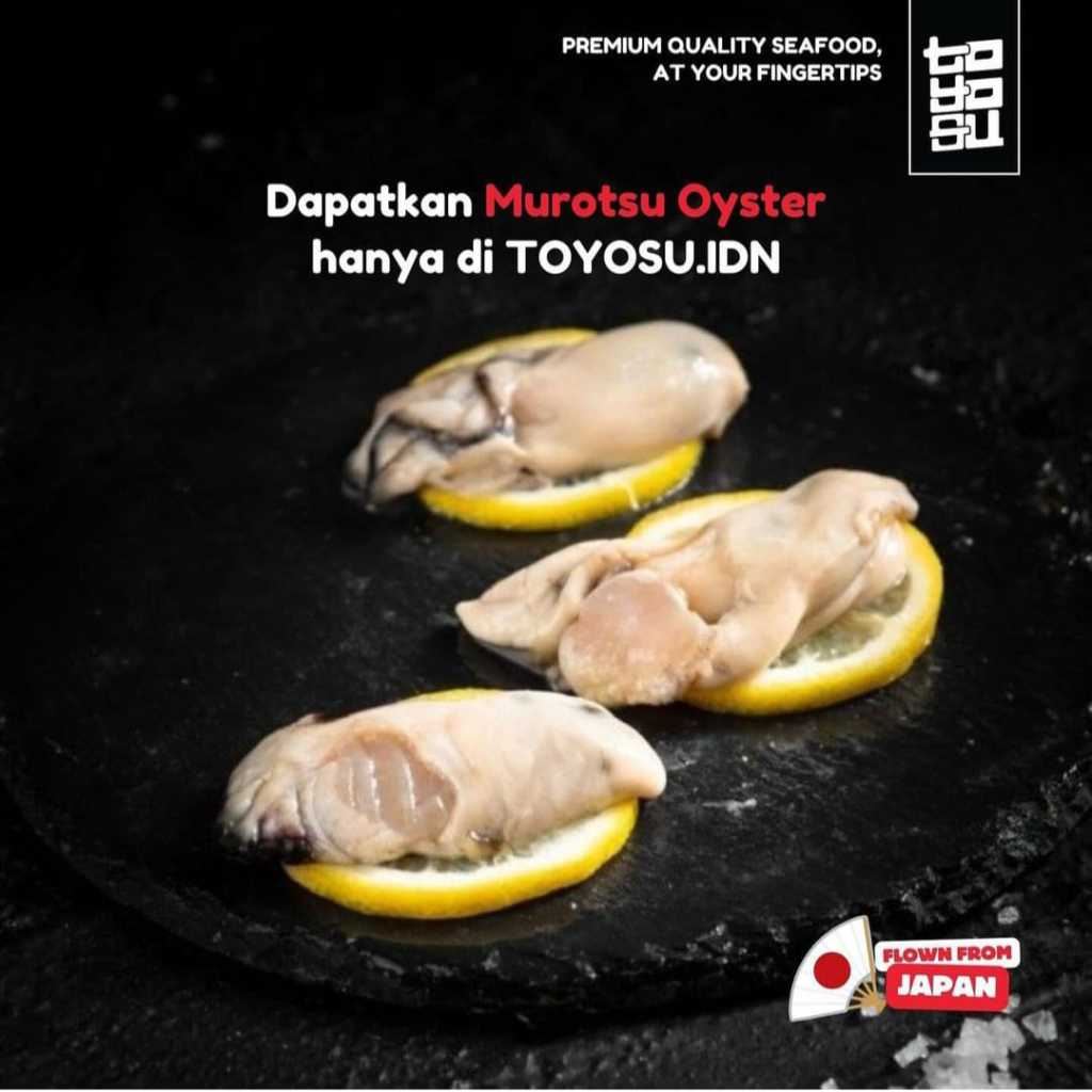 

PREMIUM JAPANESE MUROTSU OYSTER MEAT - OYSTER MEAT - DAGING TIRAM FROZEN JEPANG | TOYOSU