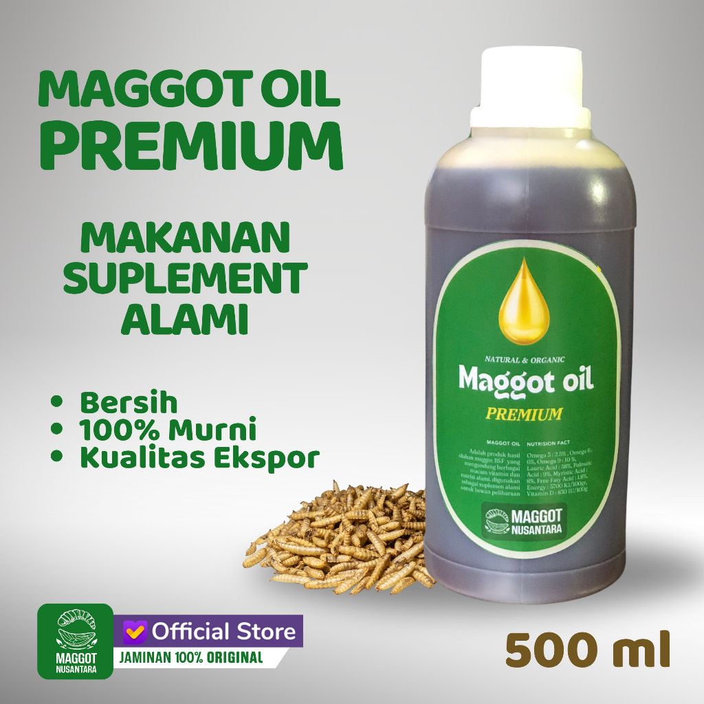 Minyak Maggot BSF 500ml - Maggot BSF Oil - Maggot Nusantara