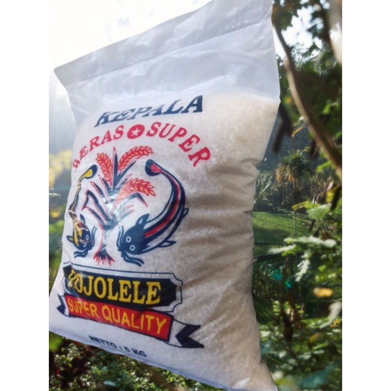 

BERAS ROJOLELE 5KG SUPER PREMIUM