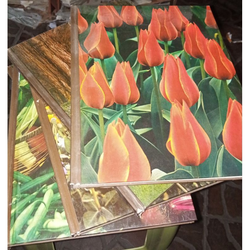 Encyclopedia of GARDENING/The Time-Life