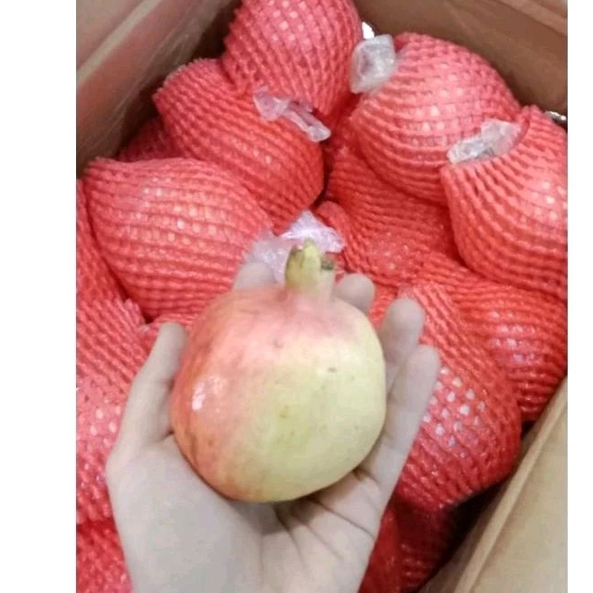

DELIMA 1 Kg