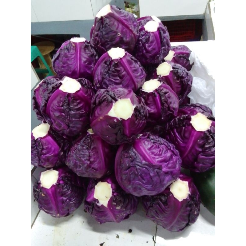 

KOL UNGU TAKI