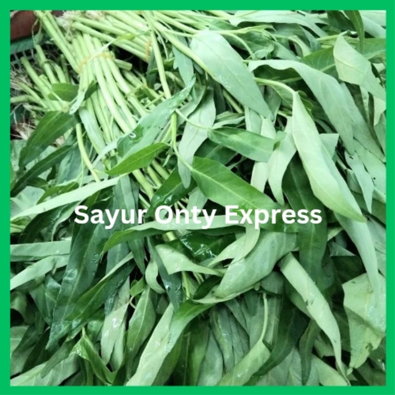 

Kangkung Segar Baru Panen per Ikat