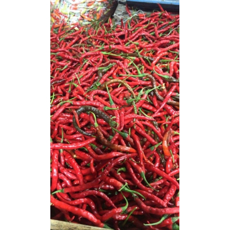 

Cabai Merah Keriting per 250gram