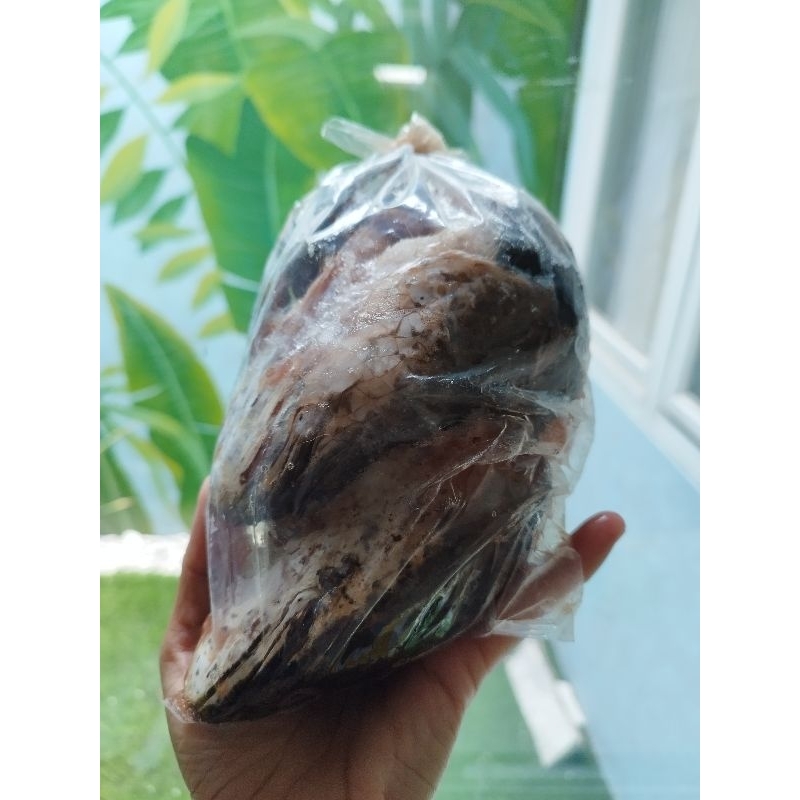 

Kepala dan Tulang Gabus 500gr