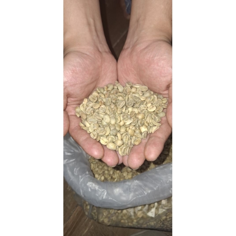 

Green bean kopi arabika Garut