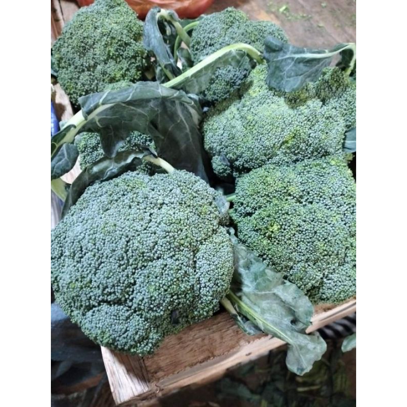 

Brokoli lokal segar 500gr