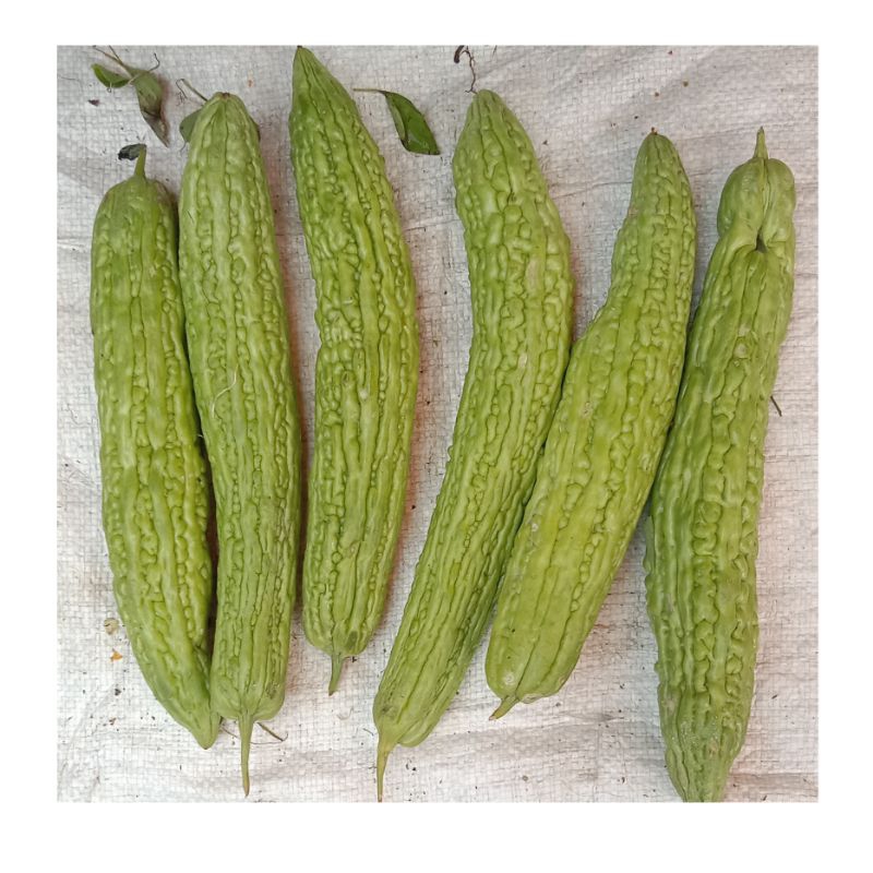 

Peria/Paria 10.000 Per/1biji Makassar