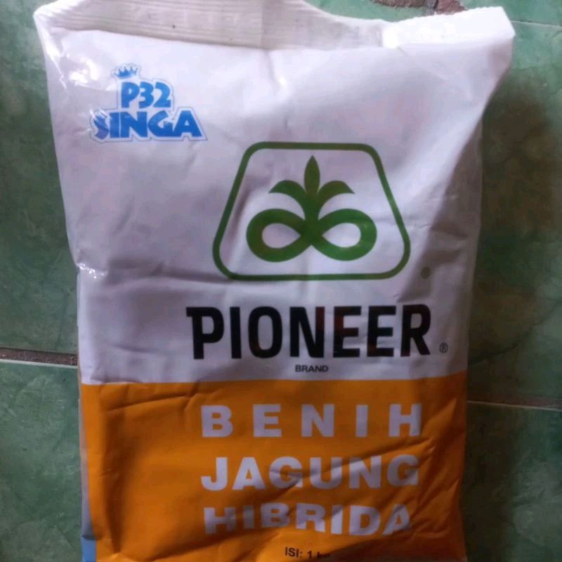 jagung pioner p 32 singa