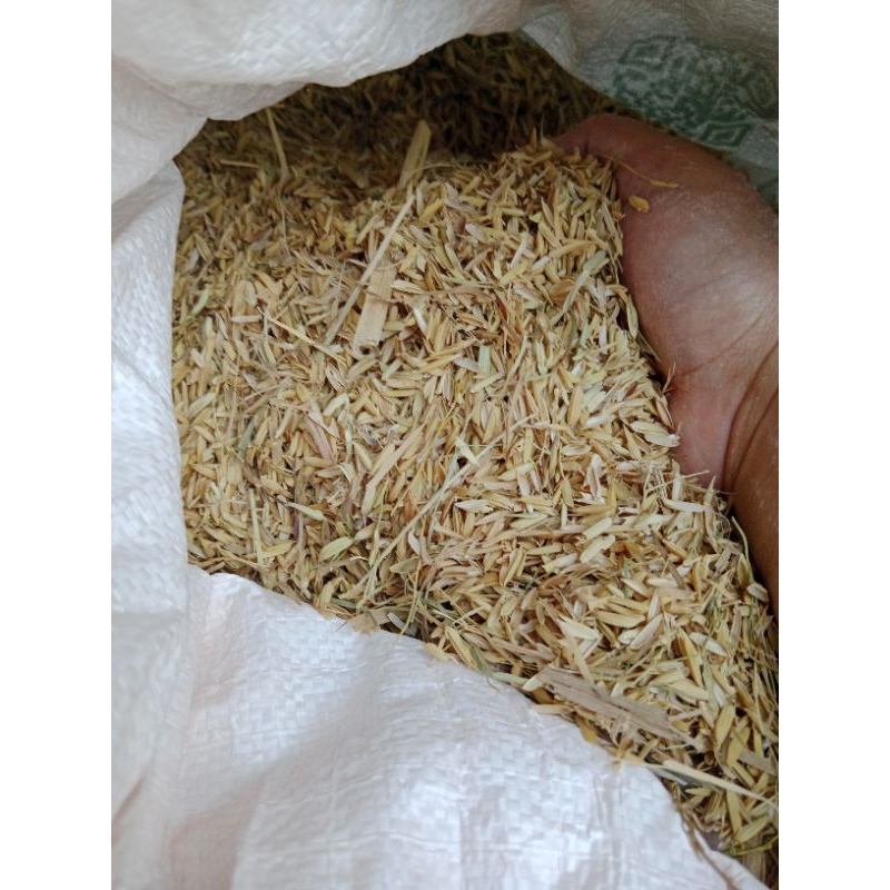 Sekam Mentah Karungan ukuran 50 kg