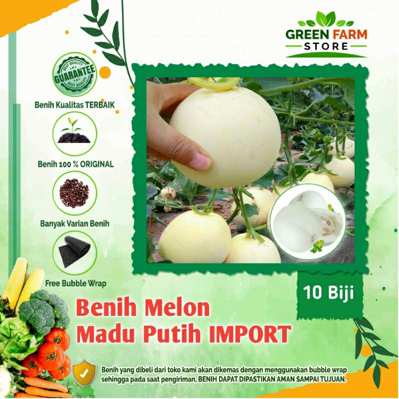 Benih Melon Madu Putih-IMPORT (10Biji)