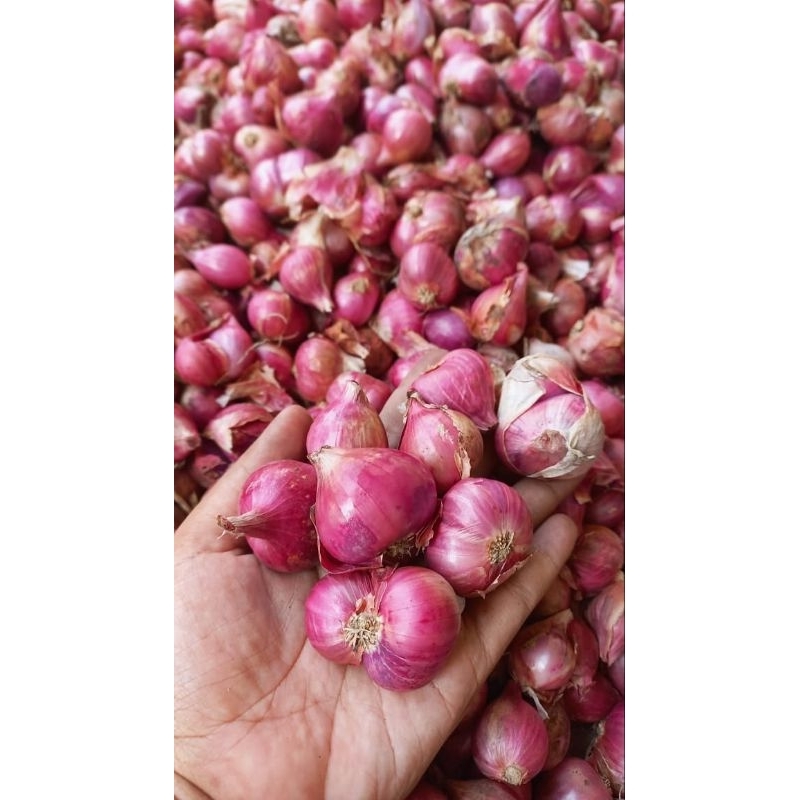 

Bawang merah super / Brambang super 1 kg