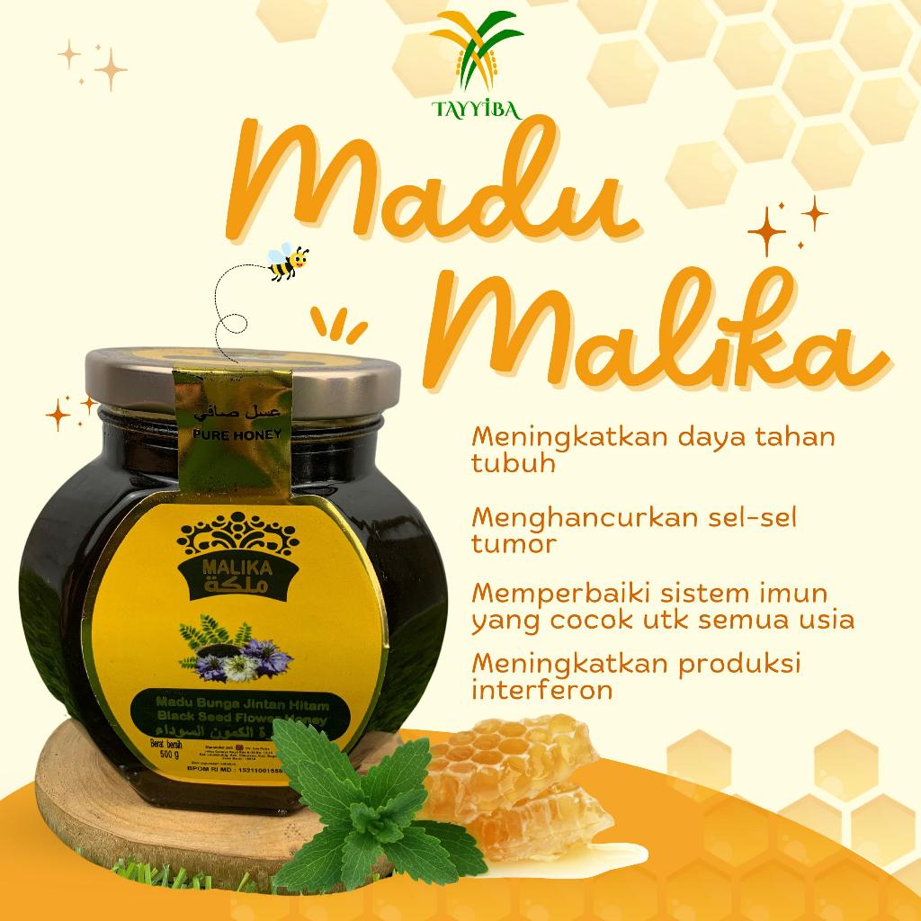 

Madu MALIKA Honey 500 Gram Bunga Jintan Hitam Black Seed Flower Honey Asli Original Habbatusauda Ori
