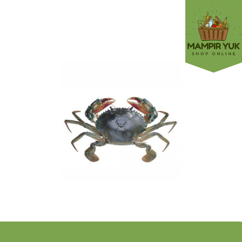 

Kepiting 250gr-300gr / pcs | mampiryuk