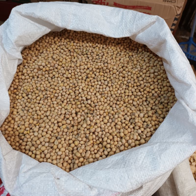 

Kacang Kedelai 1 Kg